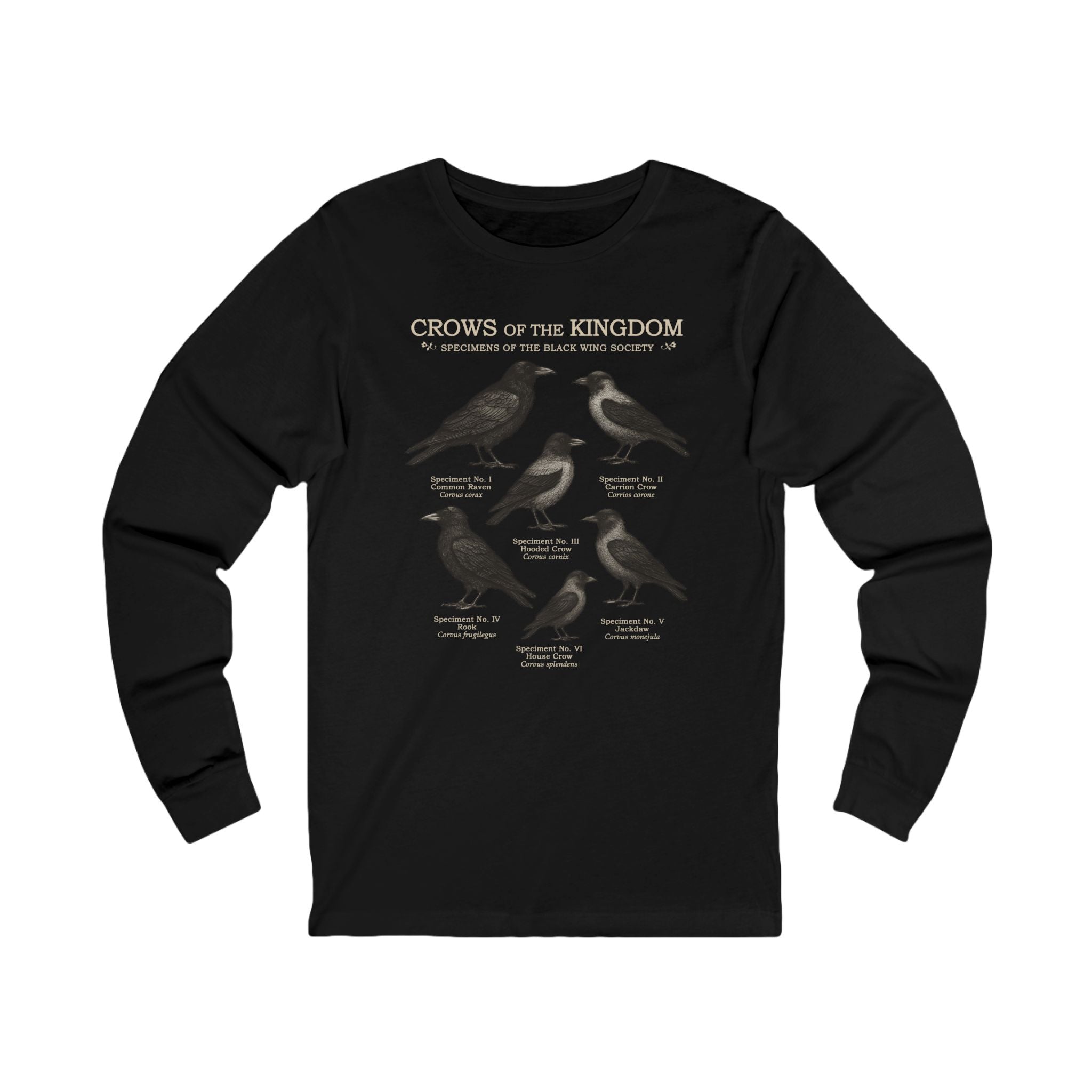 Crows of the Kingdom Long Sleeve Tee | Castlecore Crow study shirt medieval illustration and vintage fantasy