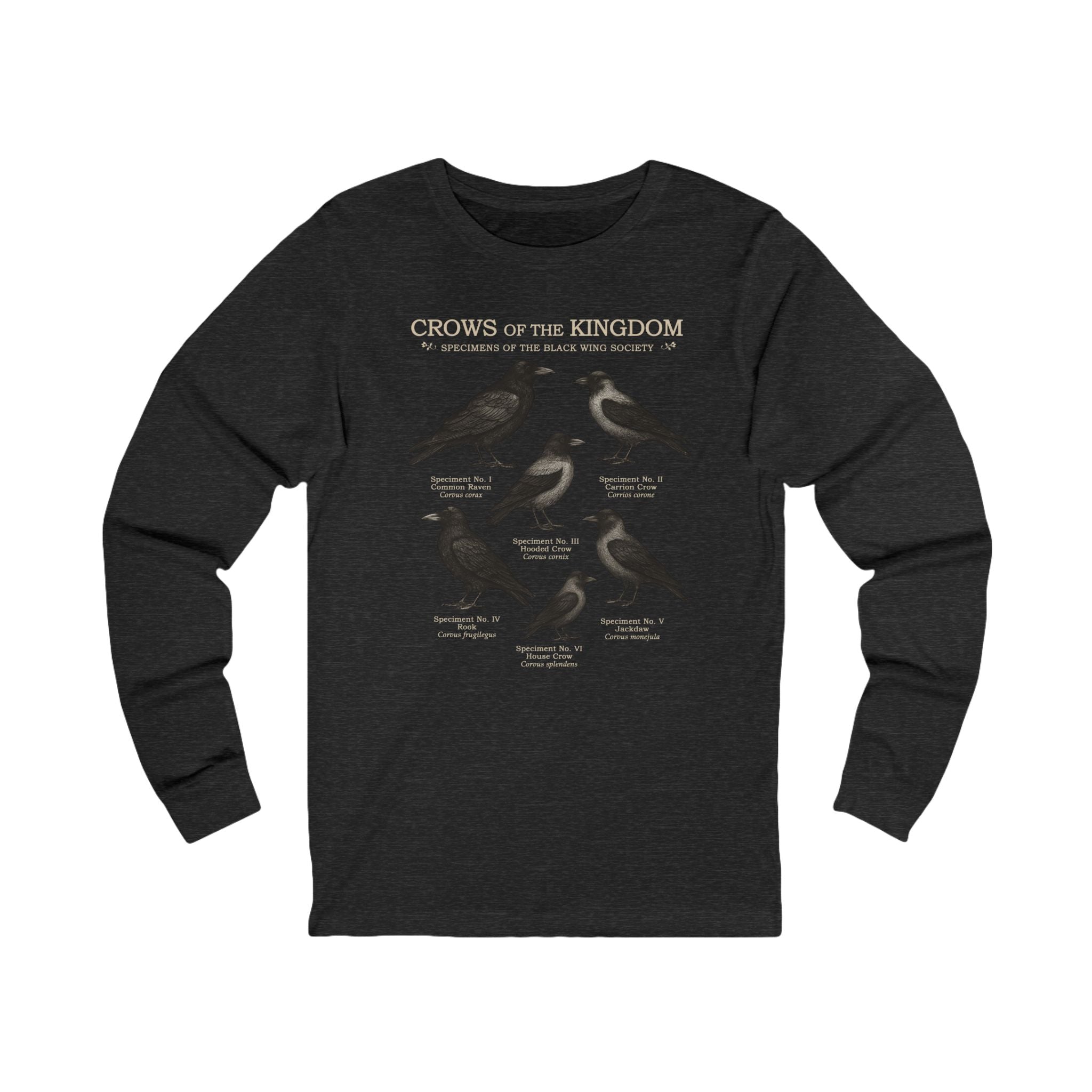 Crows of the Kingdom Long Sleeve Tee | Castlecore Crow study shirt medieval illustration and vintage fantasy