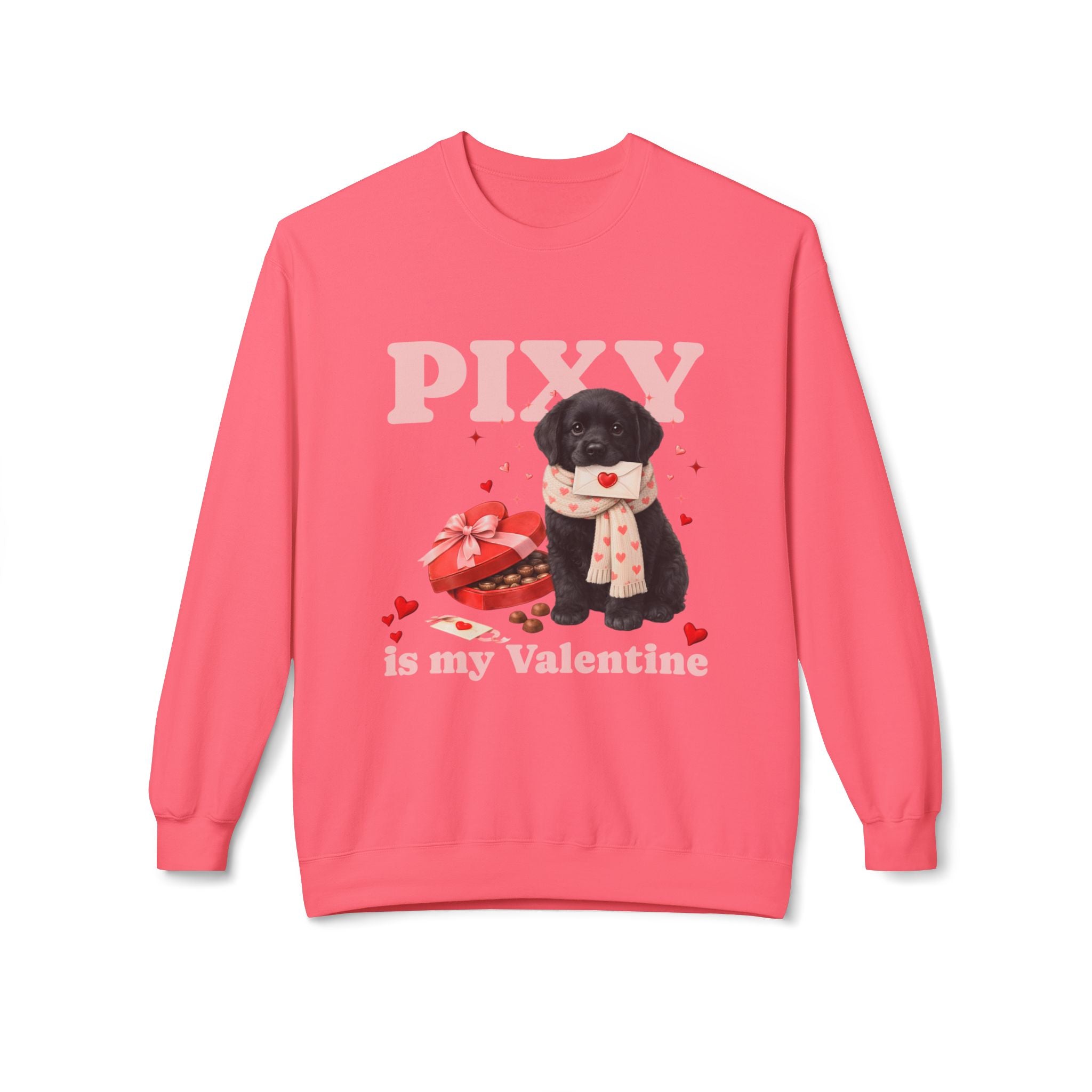 Black Lab Matching Dog & Owner Outfits | Custom Labrador Dog Mom Sweatshirt Dog Hoodie Set