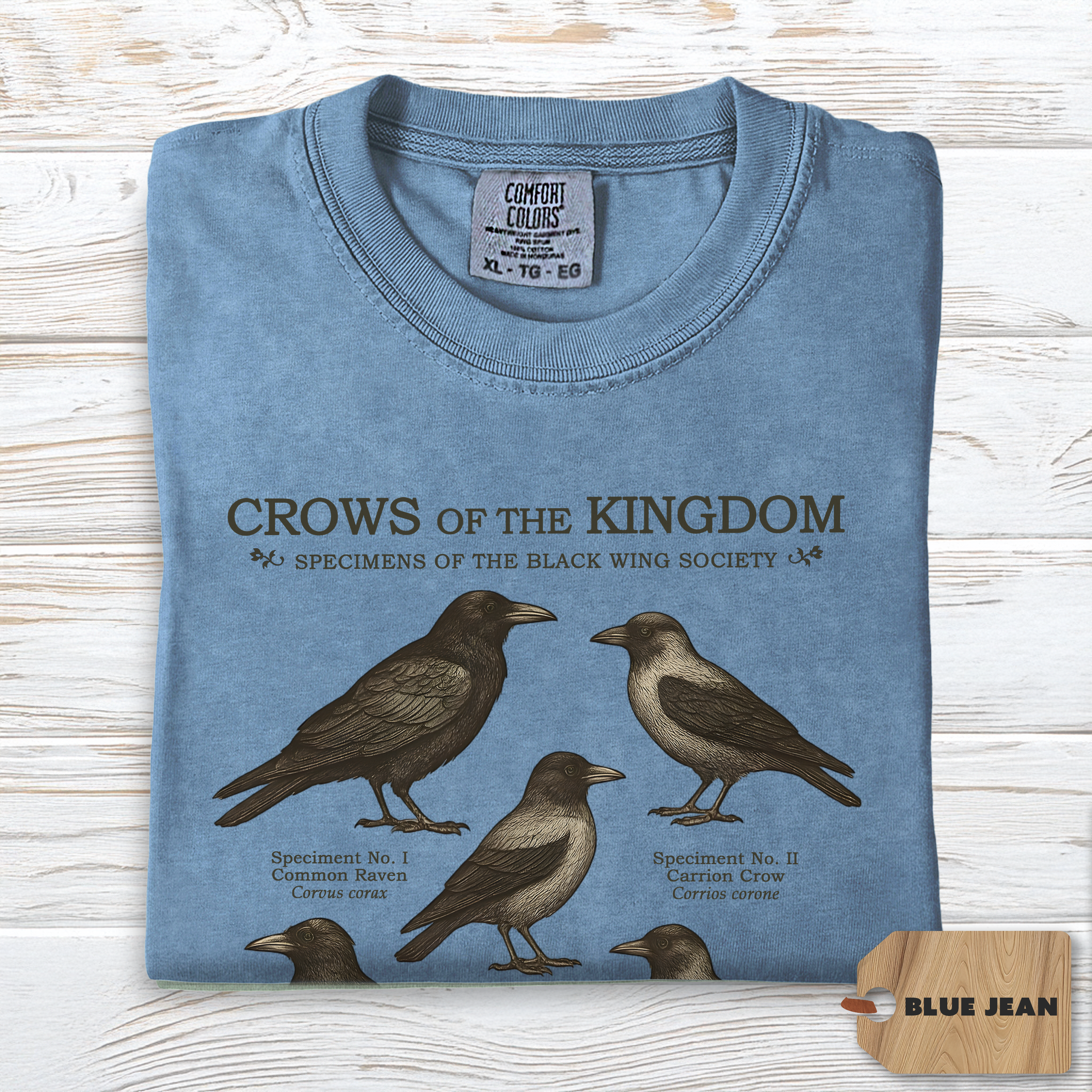 Crow Shirt Comfort Colors | Dark Academia Raven Tee for Nature Lovers