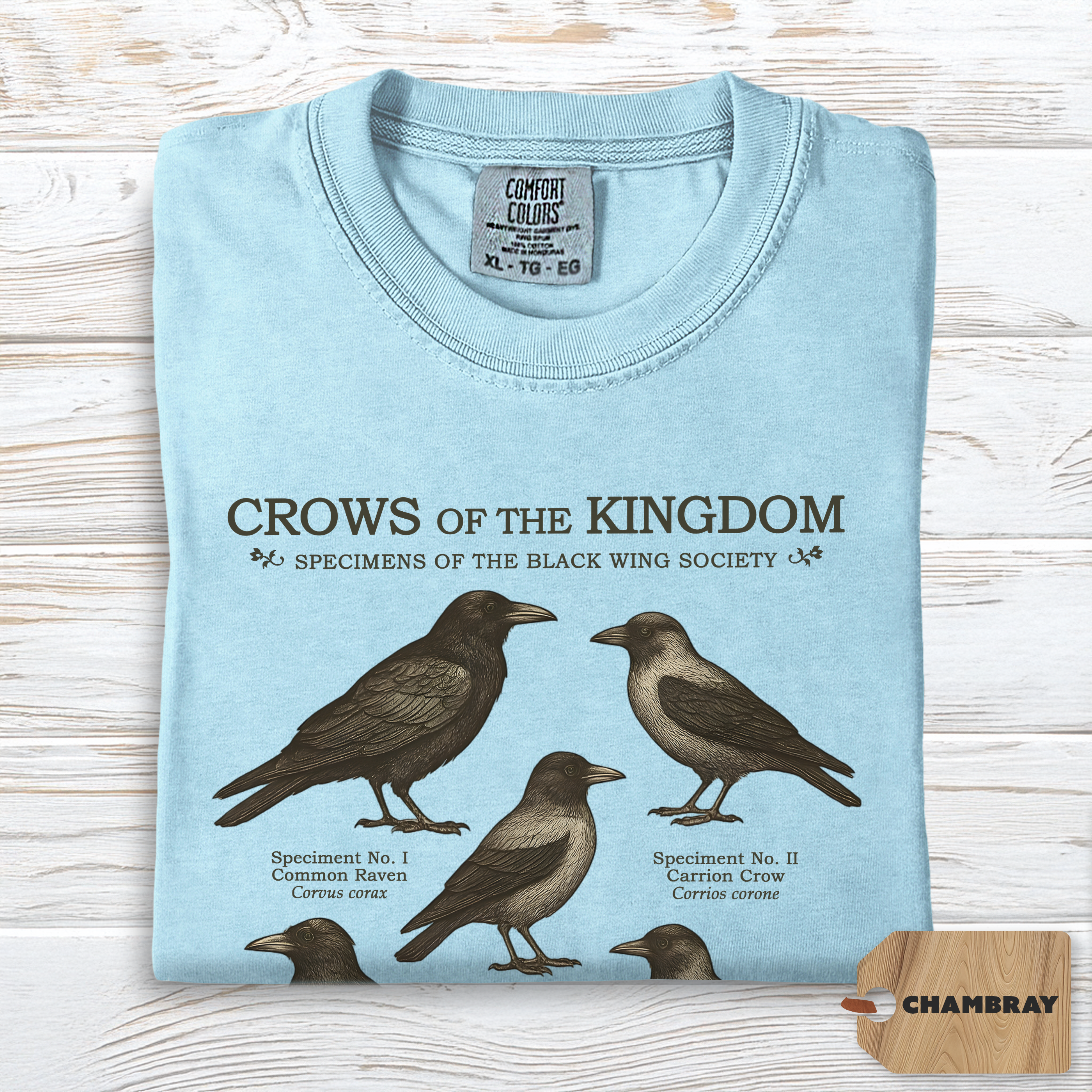 Crow Shirt Comfort Colors | Dark Academia Raven Tee for Nature Lovers