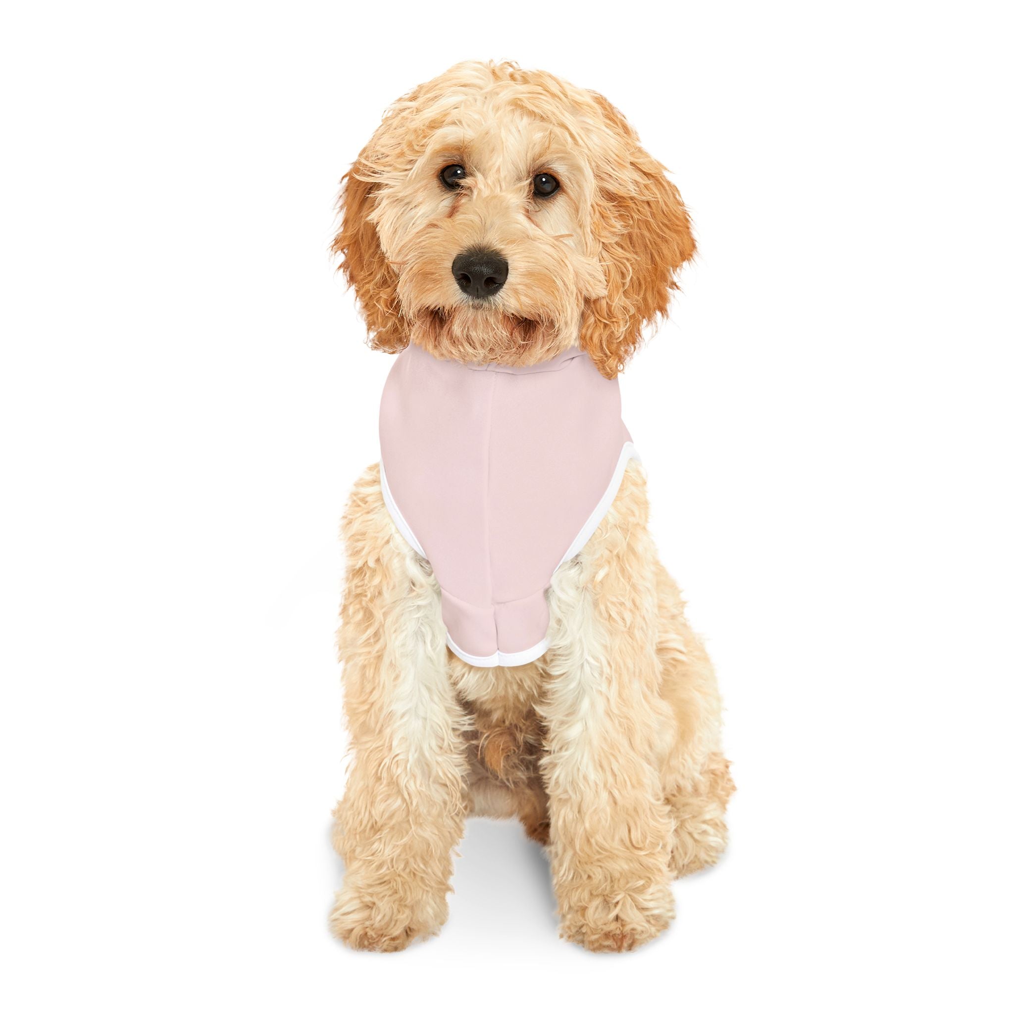 Dog Hoodie Valentine | Be Mine Heart Dog Sweater Cozy Pet Shirt