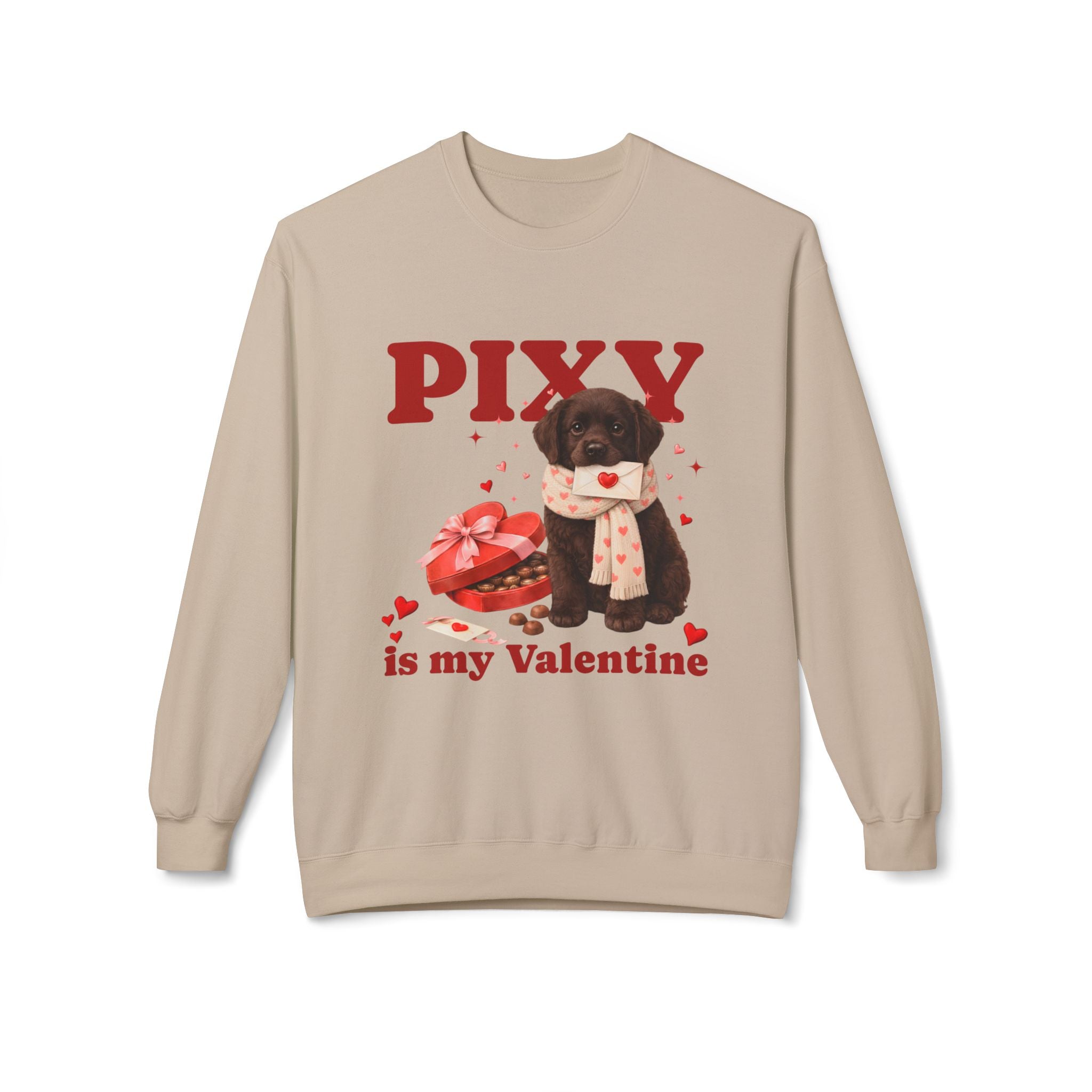 Chocolate Lab Matching Dog & Owner Outfits | Custom Labrador Dog Mom Sweatshirt Dog Hoodie Set