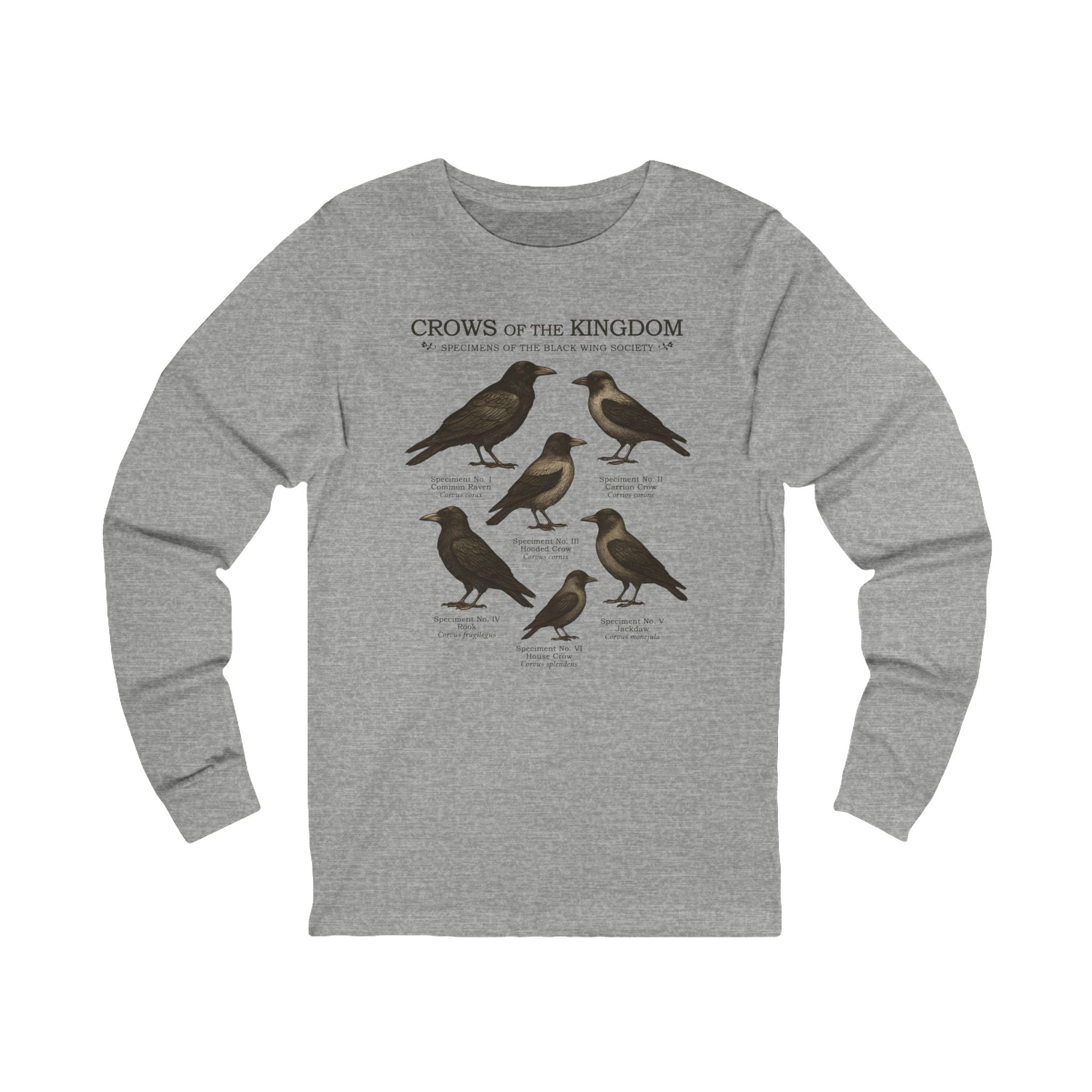 Crows of the Kingdom Long Sleeve Tee | Castlecore Crow study shirt medieval illustration and vintage fantasy