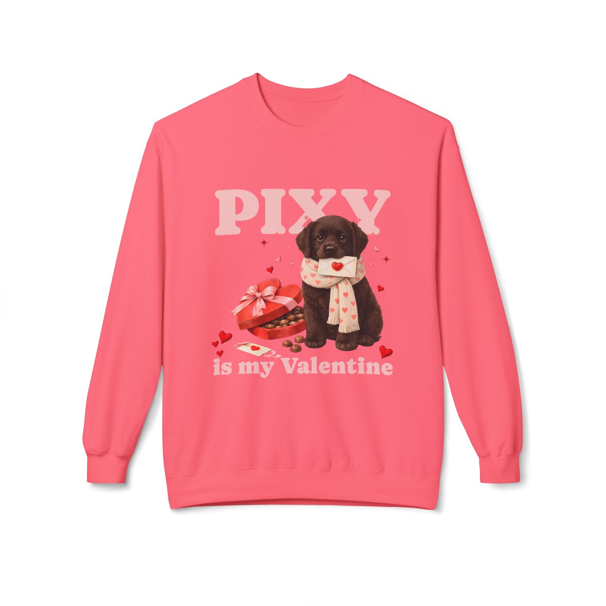 Chocolate Lab Matching Dog & Owner Outfits | Custom Labrador Dog Mom Sweatshirt Dog Hoodie Set