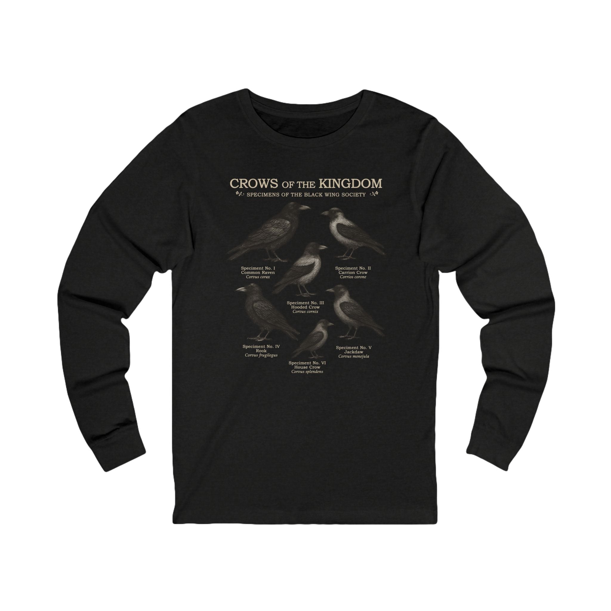 Crows of the Kingdom Long Sleeve Tee | Castlecore Crow study shirt medieval illustration and vintage fantasy