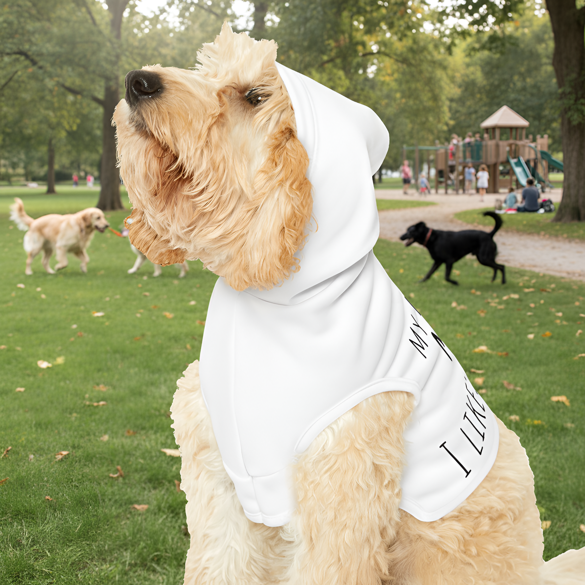 Dog Hoodie Personalized with Bone, Ball, and Food Bowl | Custom Dog Sweatshirt