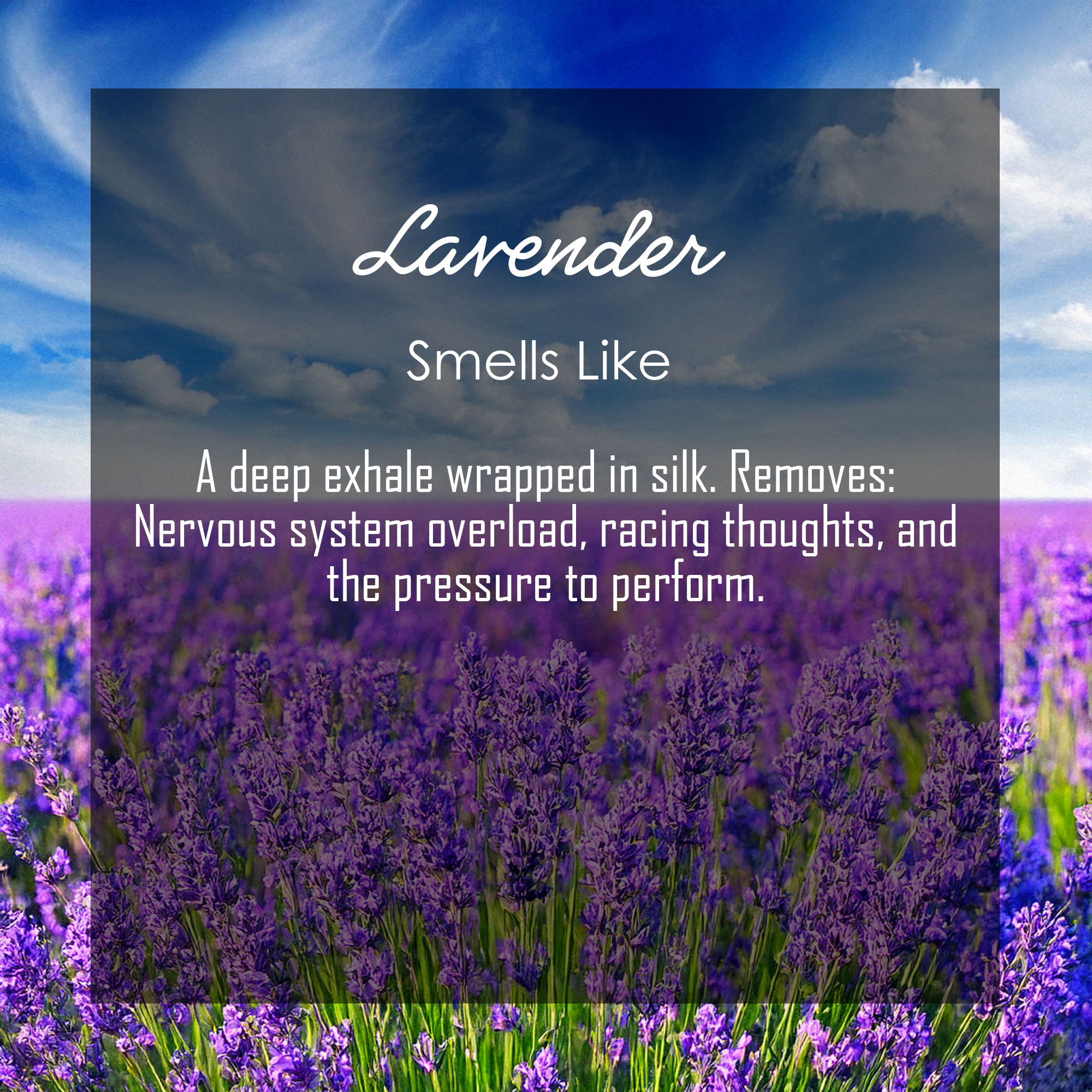 Funny Stress Relief Candle | Sarcastic Gift for Mom, Dad, Coworker, Boss