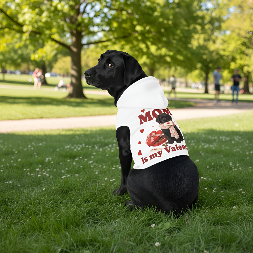 Black Lab Valentine Dog Hoodie | Matching Dog Hoodie for Dog Mom Set