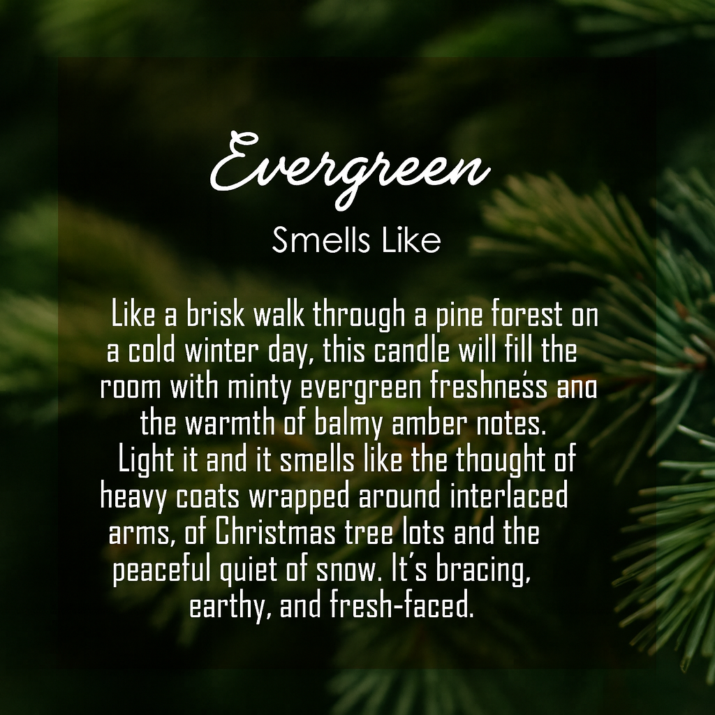 Funny Candle | 2025 Sh*t Show | 2026 Manifest | Sarcastic Stress Relief Gift for Boss or Coworker