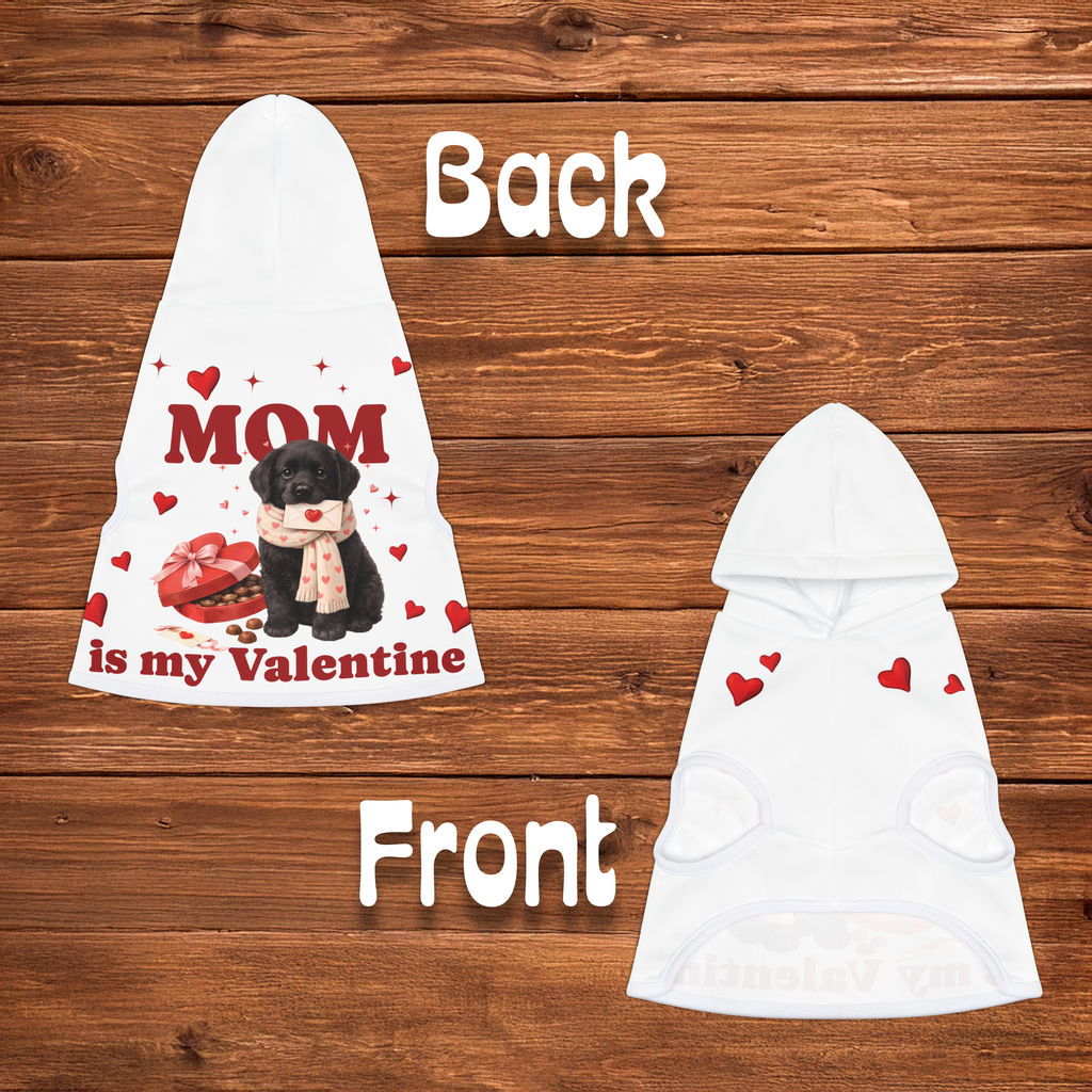 Black Lab Valentine Dog Hoodie | Matching Dog Hoodie for Dog Mom Set