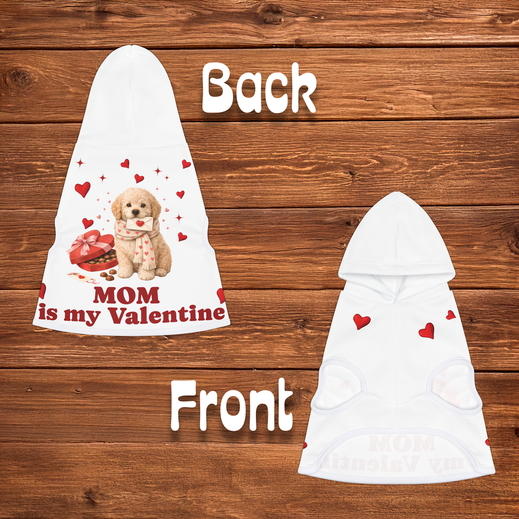 Labradoodle Valentine Dog Hoodie | Matching Dog Hoodie for Dog Mom Set