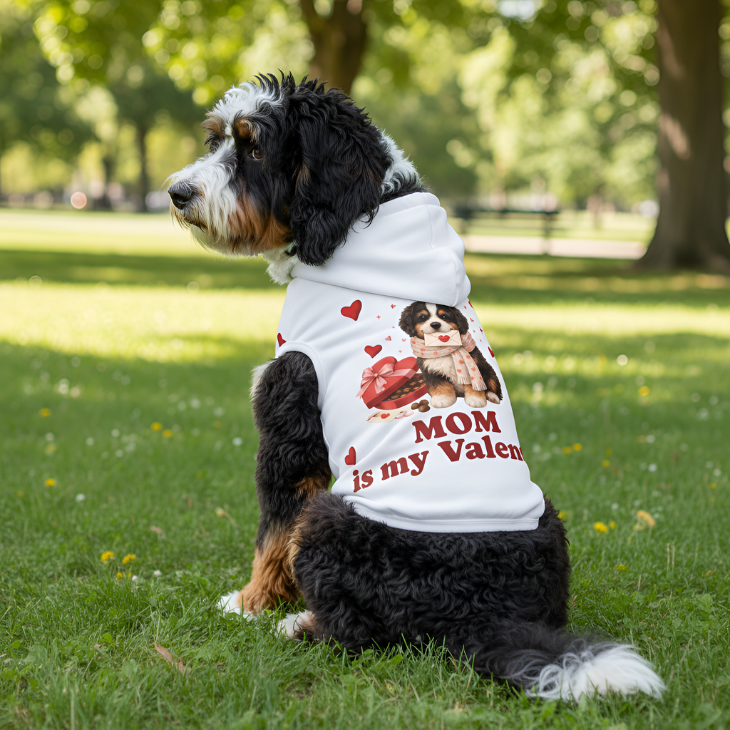 Bernedoodle Valentine Dog Hoodie | Matching Dog Hoodie for Dog Mom Set