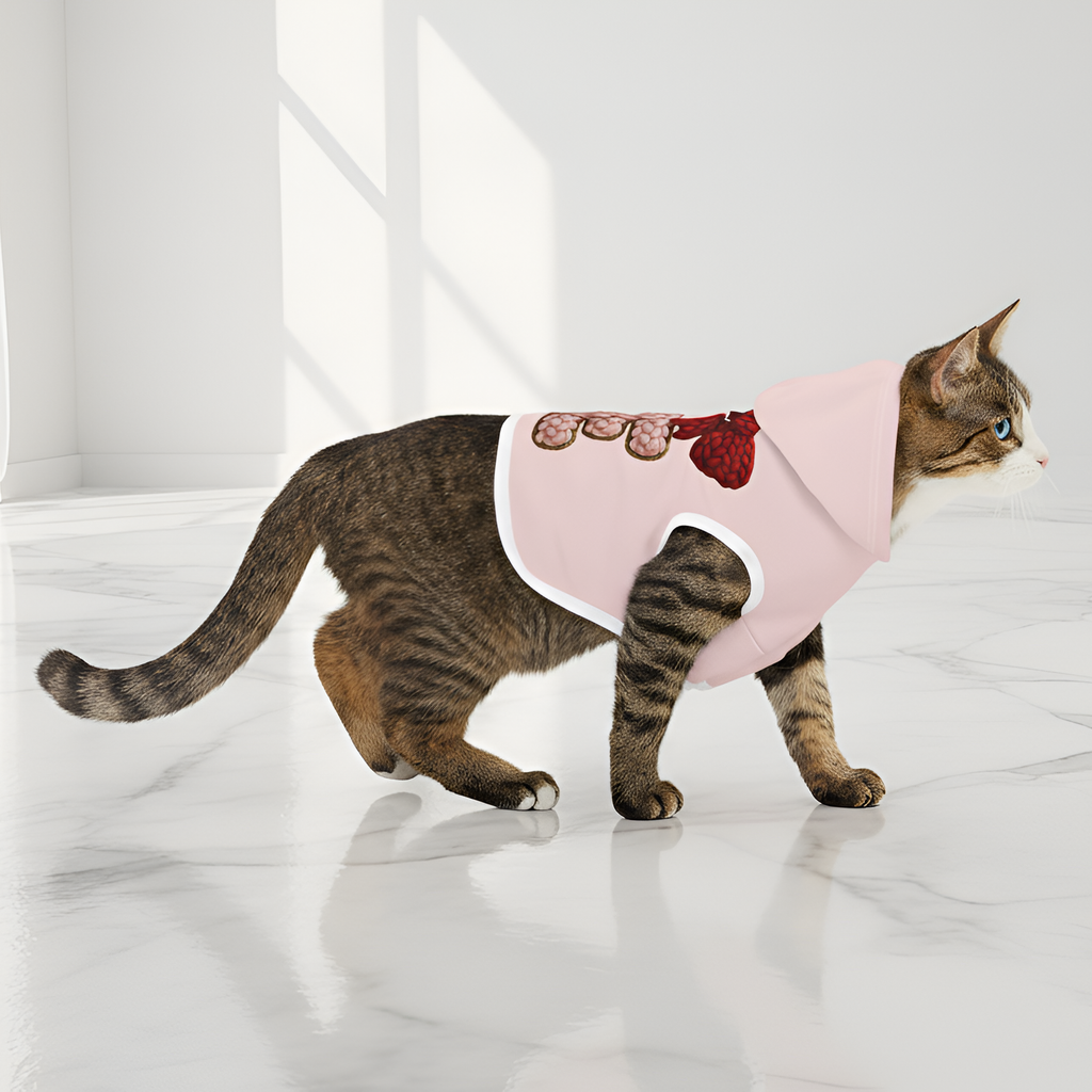 Dog Hoodie Valentine | Be Mine Heart Dog Sweater Cozy Pet Shirt