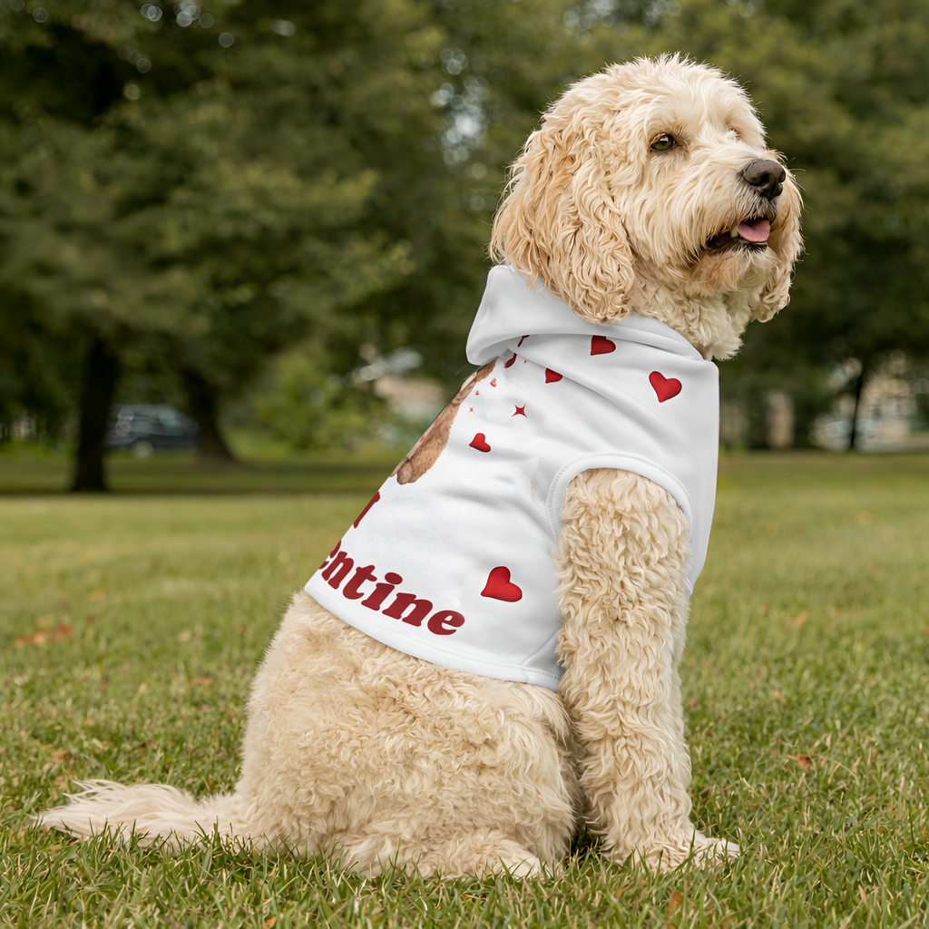 Dog wearing a Valentine's Day shirt with red hearts and text, sitting on grass.