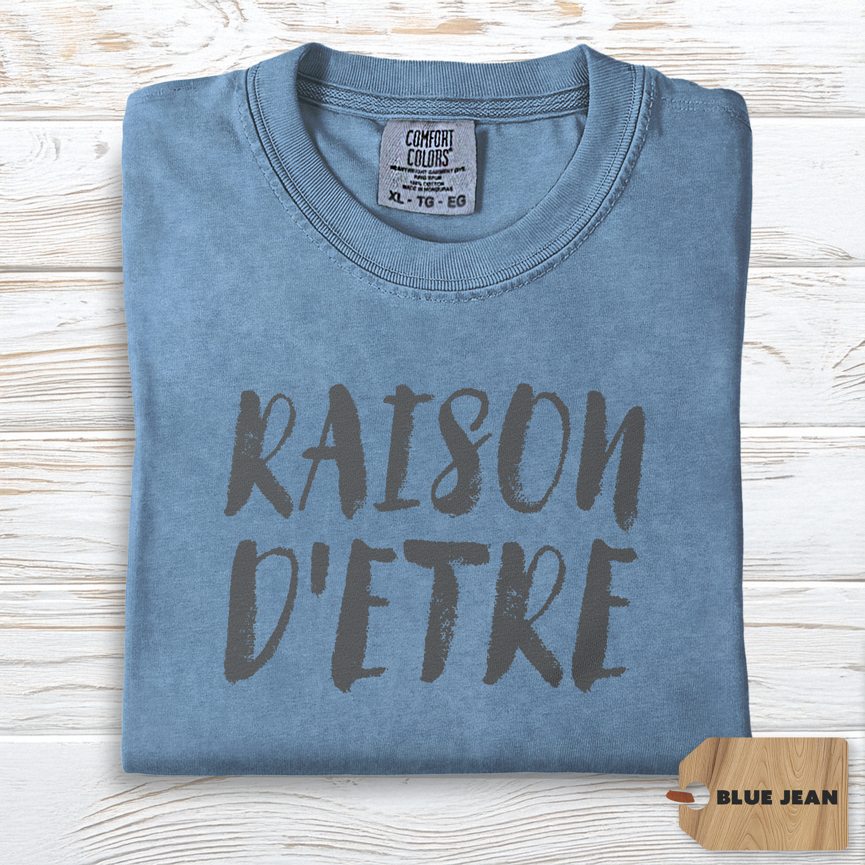 Raison d'Etre Shirt | Comfort Colors Self Growth Purpose Tee, Minimalist Philosophy Top, Soft TShirt for Meaningful Living