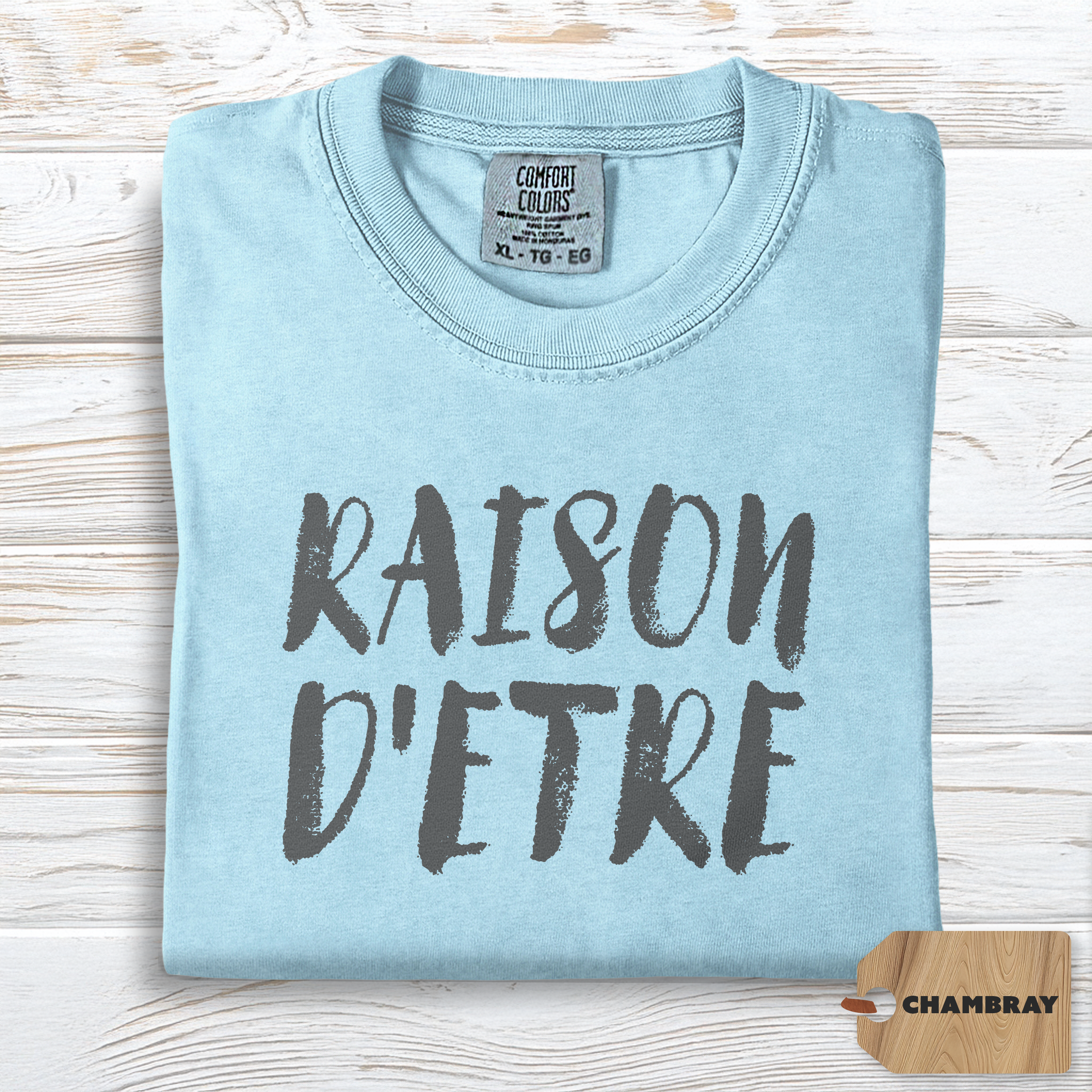 Raison d'Etre Shirt | Comfort Colors Self Growth Purpose Tee, Minimalist Philosophy Top, Soft TShirt for Meaningful Living
