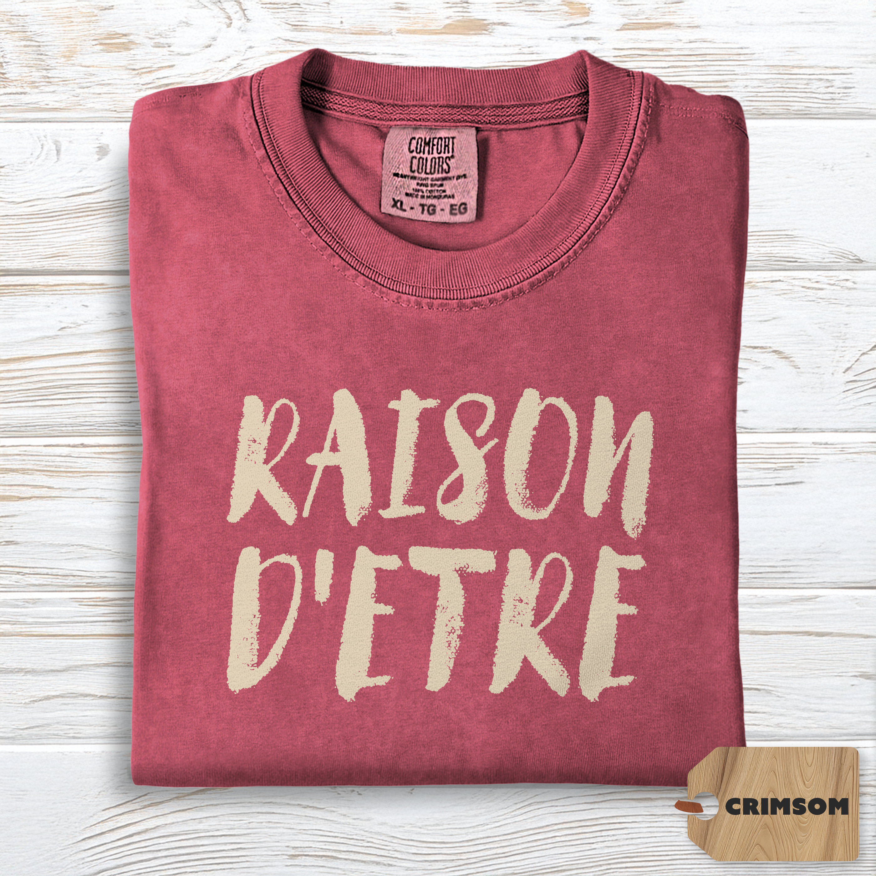 Raison d'Etre Shirt | Comfort Colors Self Growth Purpose Tee, Minimalist Philosophy Top, Soft TShirt for Meaningful Living