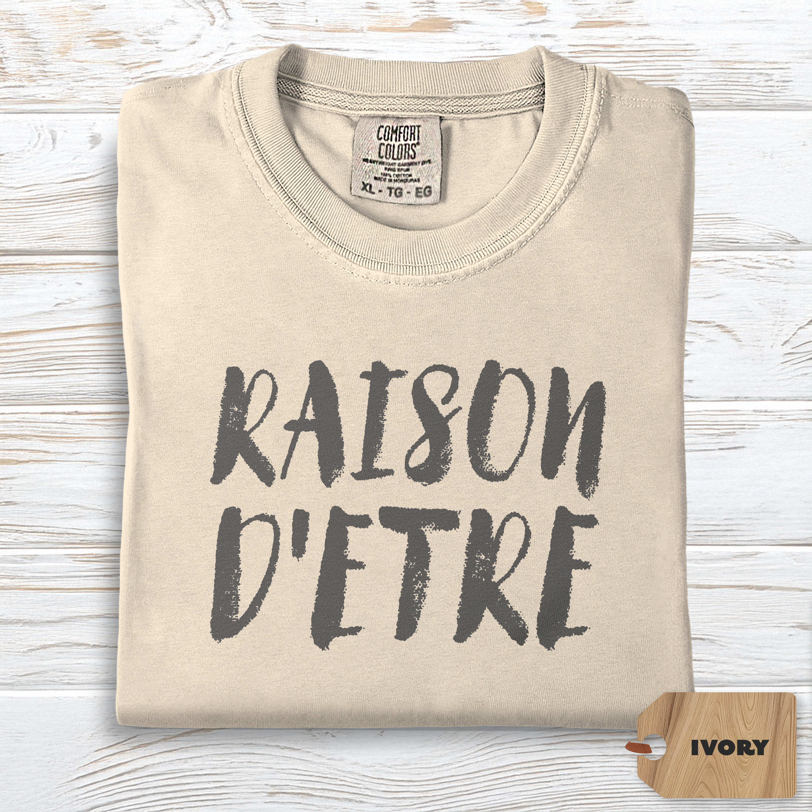 Raison d'Etre Shirt | Comfort Colors Self Growth Purpose Tee, Minimalist Philosophy Top, Soft TShirt for Meaningful Living