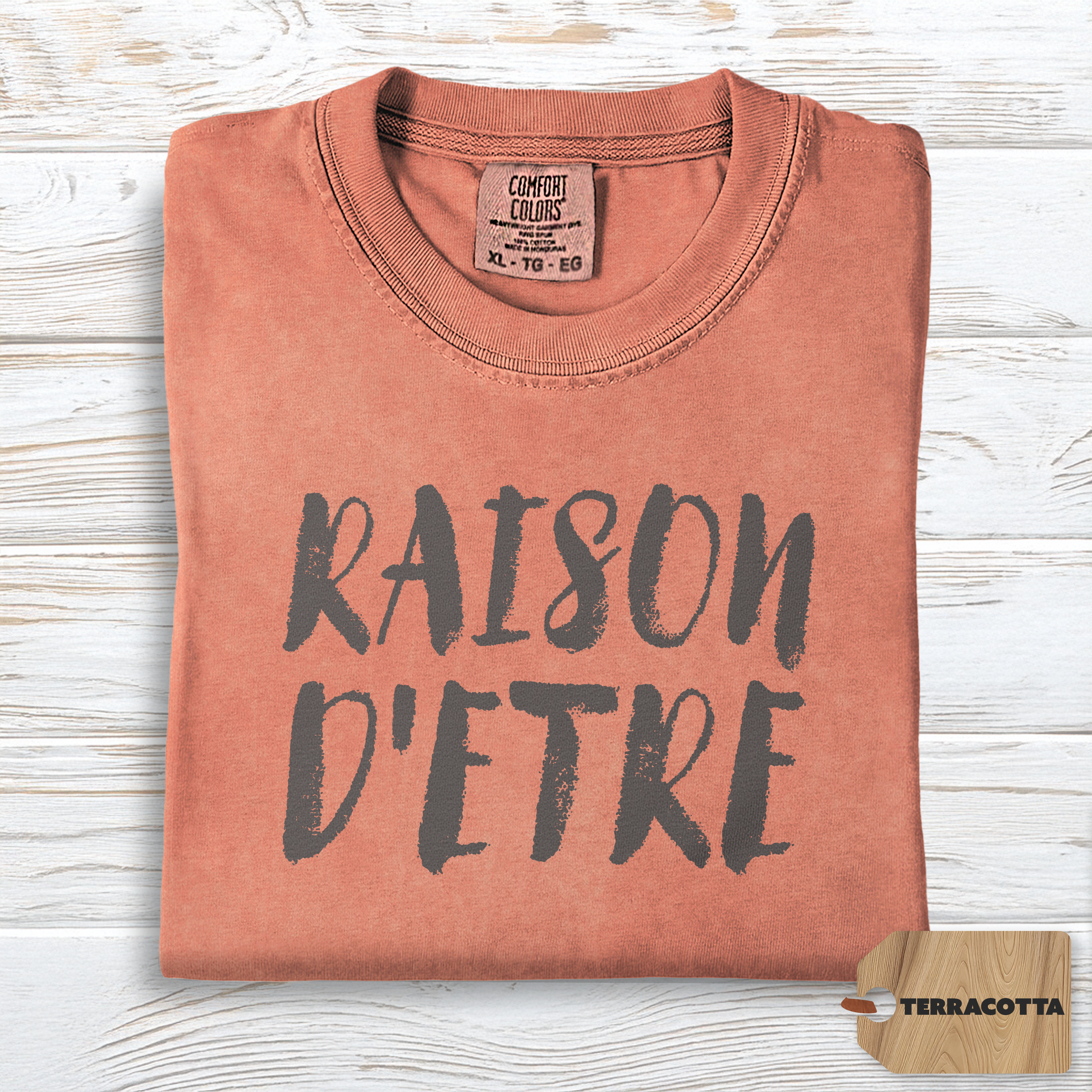 Raison d'Etre Shirt | Comfort Colors Self Growth Purpose Tee, Minimalist Philosophy Top, Soft TShirt for Meaningful Living